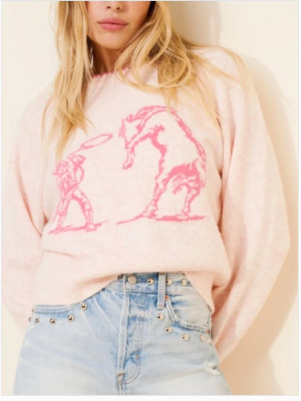 Anthropologie Pink Crewneck Sweater with Novelty Graphic